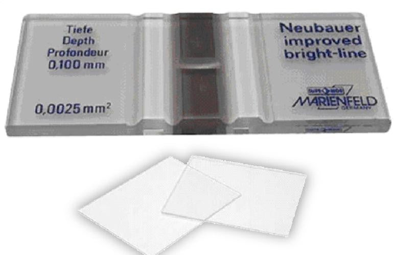 Neubauer Haemocytometer Cell Counting Chamber  improved  Bright-Line, comes with two cover slips-each