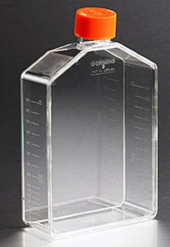 Corning 175cm2 Tissue culture flasks vented cap, 5/pack/case/50