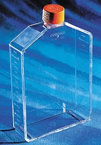 Corning 225cm2 Tissue culture flasks vented cap, 5/pack/case/25