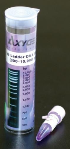 Axygen 1Kb DNA Ladder, range: 300-10,000 bp,  (500Microliter), sufficient for 100 lanes.