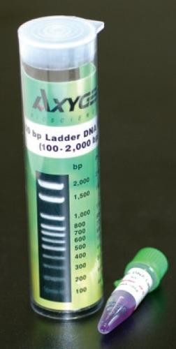 Axygen 100bp DNA Ladder, range: 100-3,000 bp, (500Microliter), sufficient for 100 lanes.