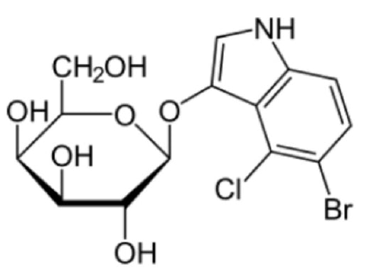 X-Gal (5-Bromo-4-chloro-3-indoyl-b-D-Galactopyranoside)  (10grm)