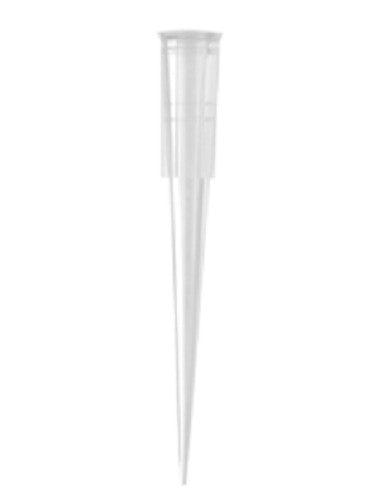 Axygen Maxymum Recovery  1-200µL Clear pipette tips-pkt/1000