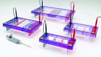 Cleaver Electrophoresis Equipment