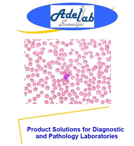 Product Solutions for Diagnostic and Pathology Laboratories