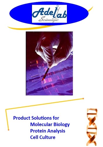 Product Solutions for Molecular Biology Protein Analysis Cell Culture
