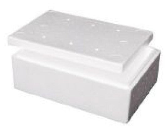 Foamex Foam Cooler Box with Lid, 5L, ctn/20