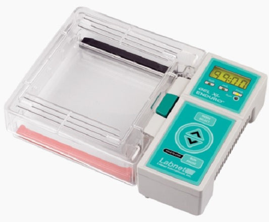 Labnet Electrophoresis (Gel) Systems – ENDURO™ XL: Horizontal