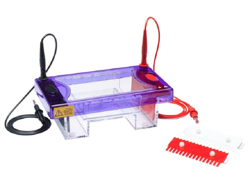 Cleaver Vertical & Horizontal Electrophoresis Systems
