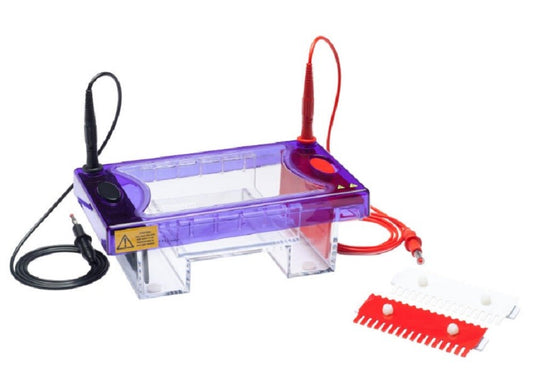 Cleaver Vertical & Horizontal Electrophoresis Systems