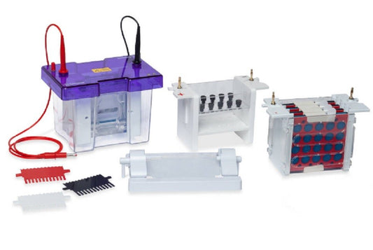 Cleaver Vertical & Horizontal Electrophoresis Systems